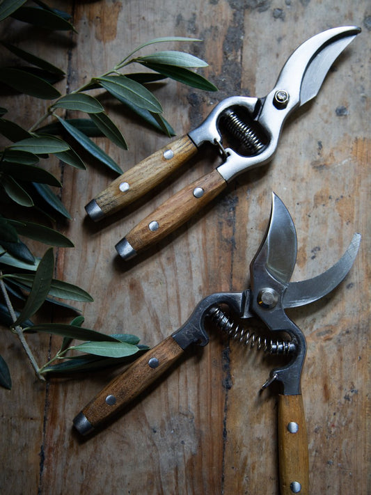 Secateurs