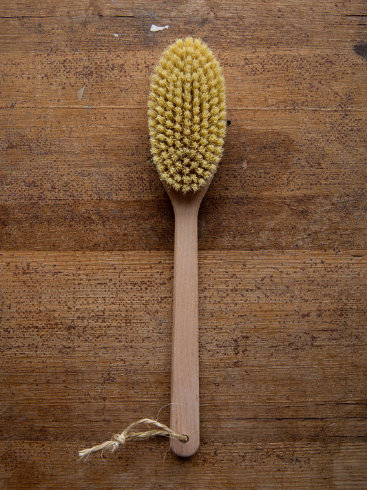 Long Handle Bath Brush