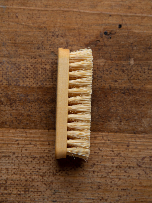 Tampico Scrubbing Brush