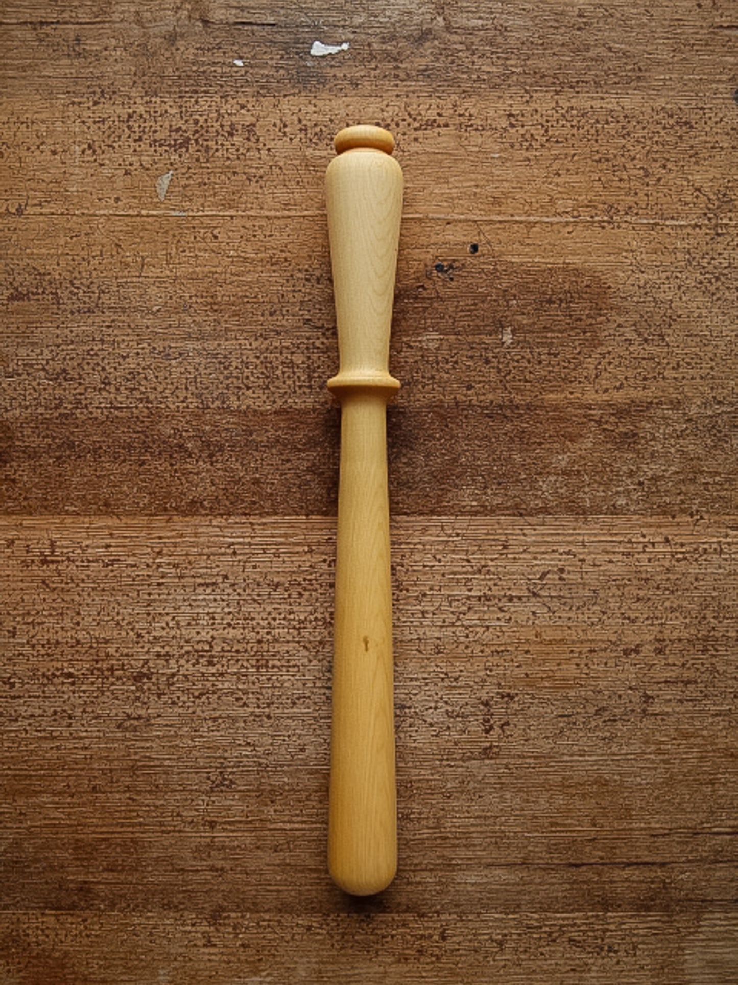 Tasmanian Timber Spurtle