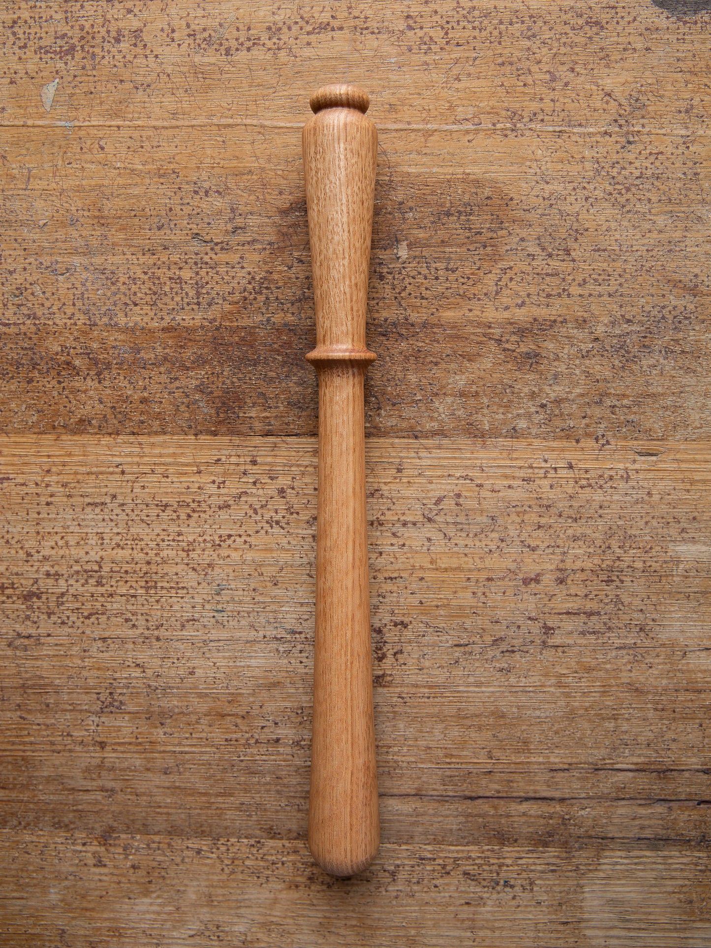Tasmanian Timber Spurtle