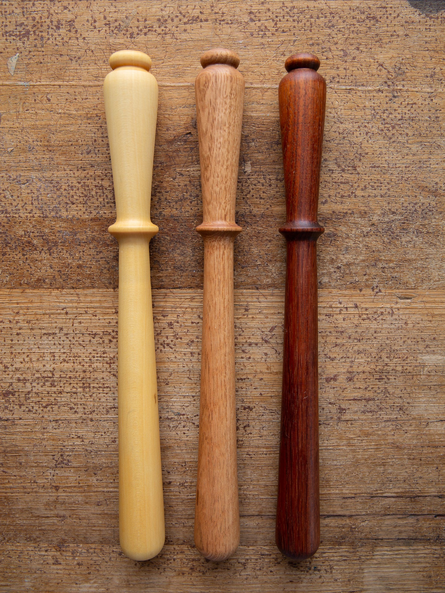 Tasmanian Timber Spurtle