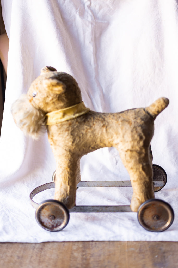 Dog on outlet wheels toy