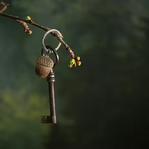 Wildlife Garden - Wooden Handcarved Keyrings