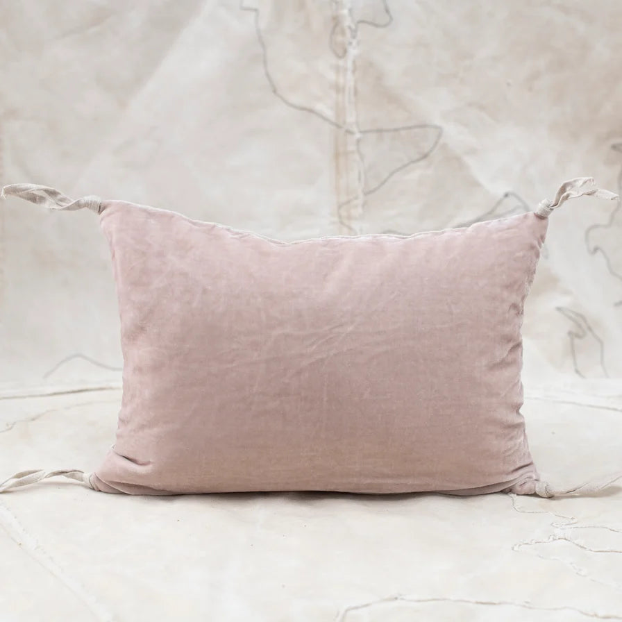 French Silk Velvet Mini Cushions
