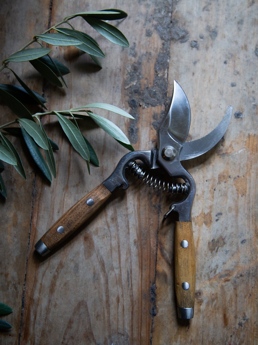 Secateurs