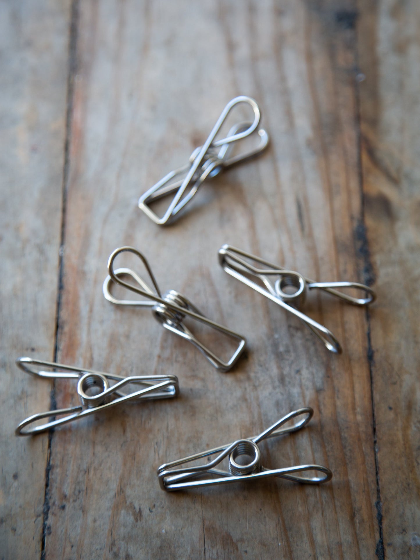 Stainless Steel Pegs