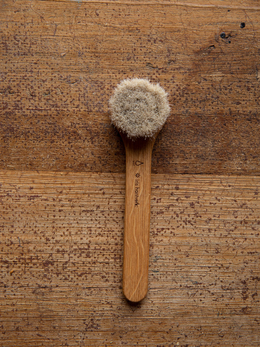 Face Brush ~ Wet Use